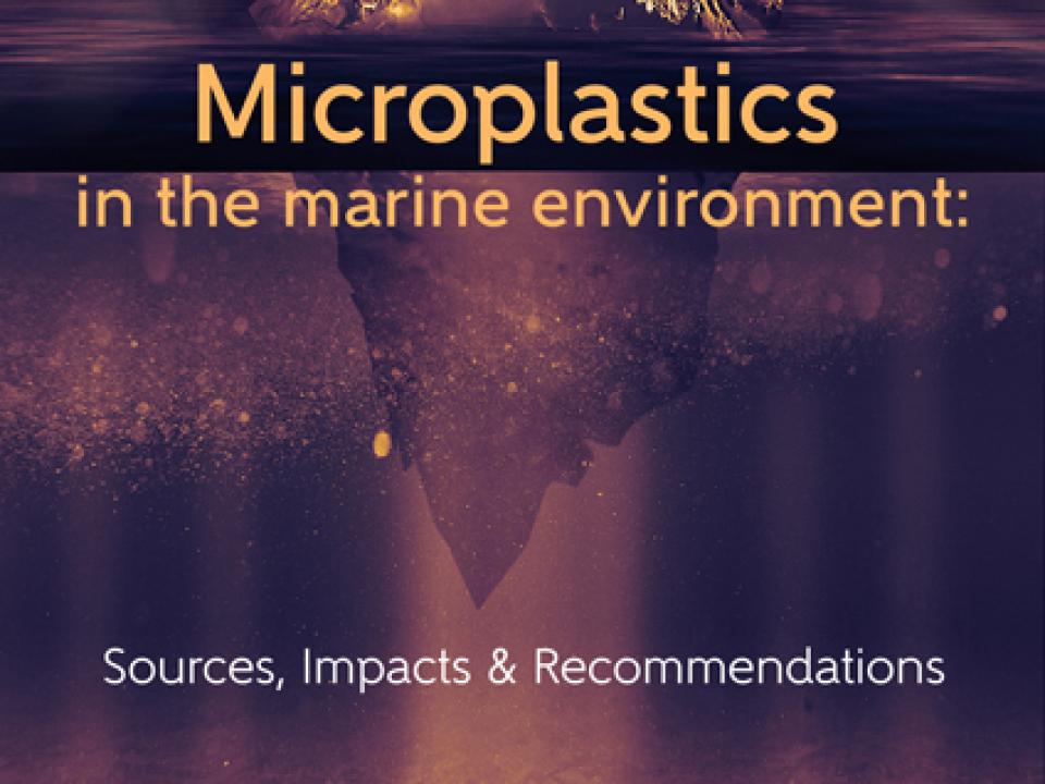 GMIT Study on European marine microplastic polution