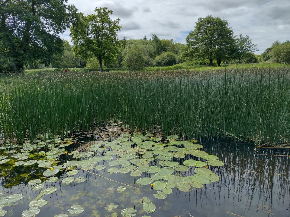 Green Campus