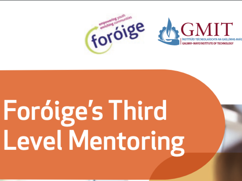 Third level mentoring